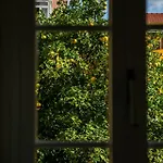 Apartmán Sunny In The Heart Of Principe Real *