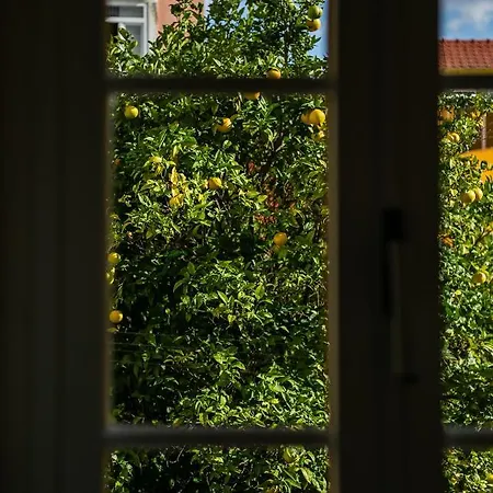 Apartament Sunny In The Heart Of Principe Real *